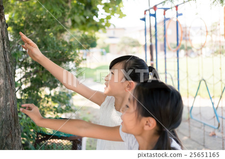 蟬 蝗蟲 小學學生 25651165