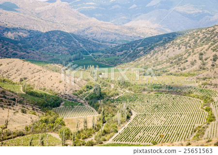 Beautiful valley with trees, hills and mountain on 25651563