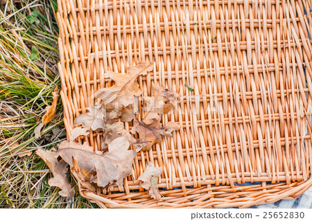 fallen autumn leaves. Beautiful branch with dry 25652830