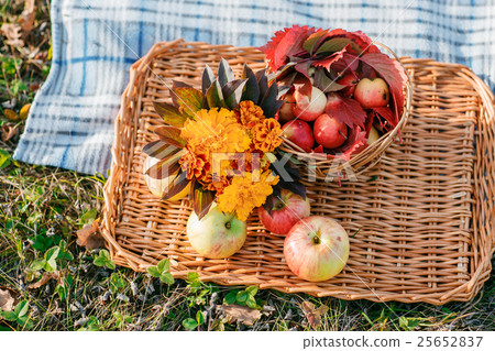 Juicy apples on a wicker tray, surrounded by Juicy apples on a wicker tray, surrounded by 25652837