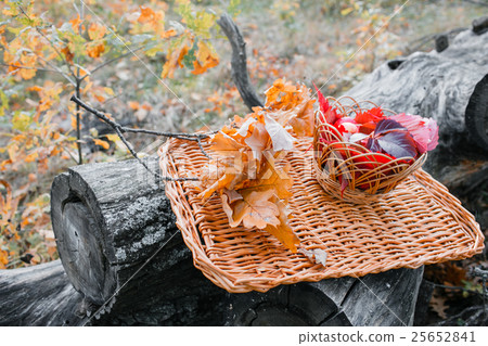 Juicy apples on a wicker tray, surrounded by Juicy apples on a wicker tray, surrounded by 25652841