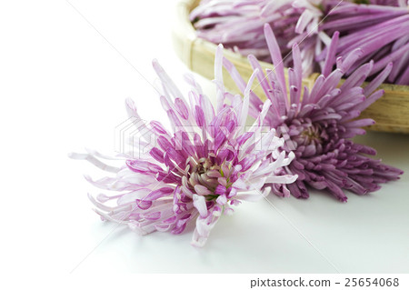 Kakino Soma 8 25654068