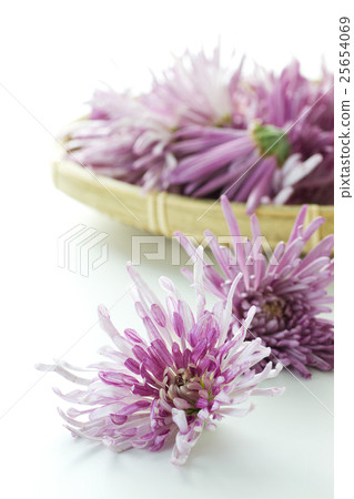 Kakino Soma 9 Kakino Soma 9 25654069