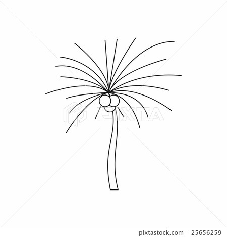Palm butia capitata icon, outline style 25656259