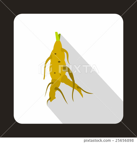 Ginseng rot icon in flat style 25656898