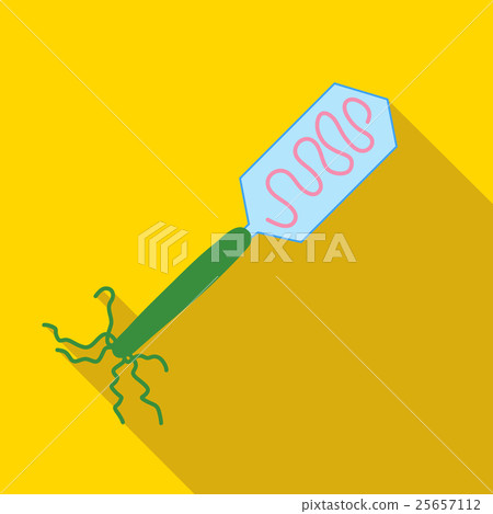 Virus, bacteria, microbe icon, flat style 25657112