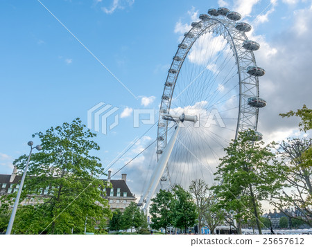 London eye and surrounding park in London London eye and surrounding park in London 25657612