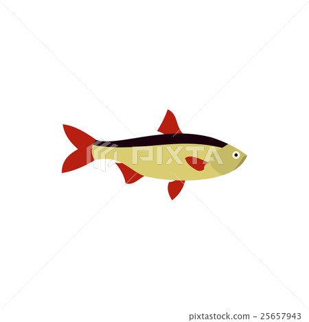 Rudd fish icon in flat style 25657943