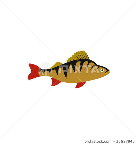 Perch fish icon in flat style - Stock Illustration [25657945] - PIXTA