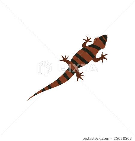 Ambistoma tiger, salamander icon, flat style Ambistoma tiger, salamander icon, flat style 25658502