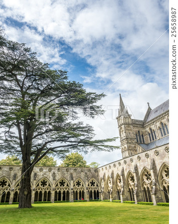 Salisbury cathedral under cloudy sky 25658987