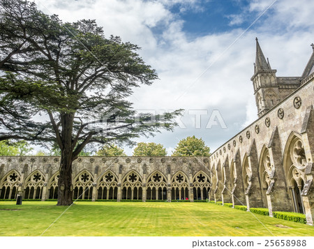 Salisbury cathedral under cloudy sky 25658988