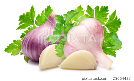 Garlic bulbs with parsley, paths Garlic bulbs with parsley, paths 25664422