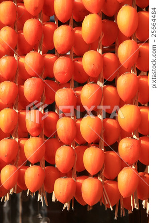 Ichiraku persimmon 25664484