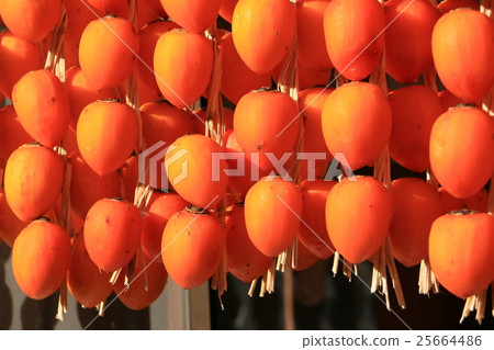 Ichiraku persimmon 25664486