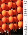 Ichiraku persimmon 25664487