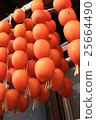 Ichiraku persimmon 25664490