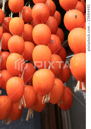 Ichiraku persimmon 25664491
