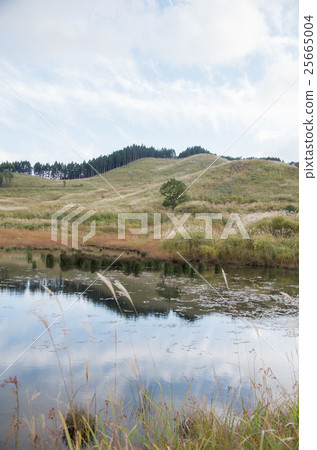 Plateau 25665004