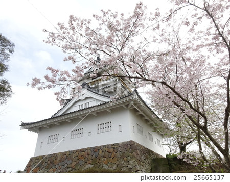 Oita Prefecture · Kitsuki Castle 25665137