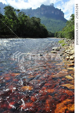 天使之路秋天 天使之路秋天 25665264