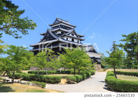 國家寶藏松江城堡 - 又名:千鳥城 -  國家寶藏松江城堡 - 又名:千鳥城 -  25665530