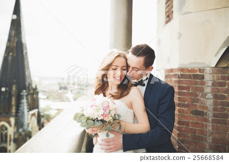 Stylish beautiful wedding couple kissing and 25668584