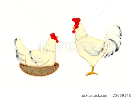 Chicken couple 25669148