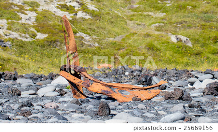 Remains of a boat wreck - Iceland 25669156