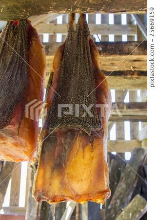 Iceland's fermented shark Iceland's fermented shark 25669159