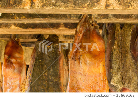 Iceland's fermented shark Iceland's fermented shark 25669162