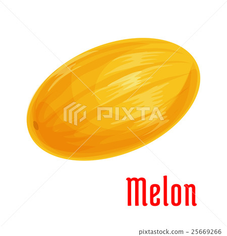 Melon fruit isolated icon for food design Melon fruit isolated icon for food design 25669266