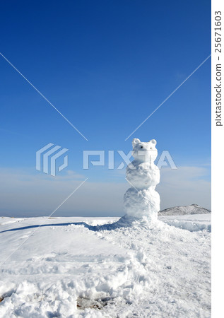 snow bear and blue sky 25671603