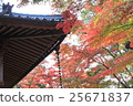 美麗的屋頂和秋天的落葉 25671837
