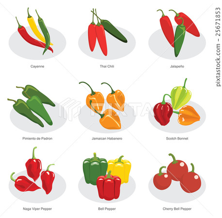 chili pepper chili pepper 25671853