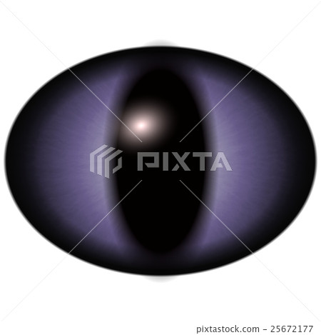 Raptor blue purple eye with large pupil  25672177