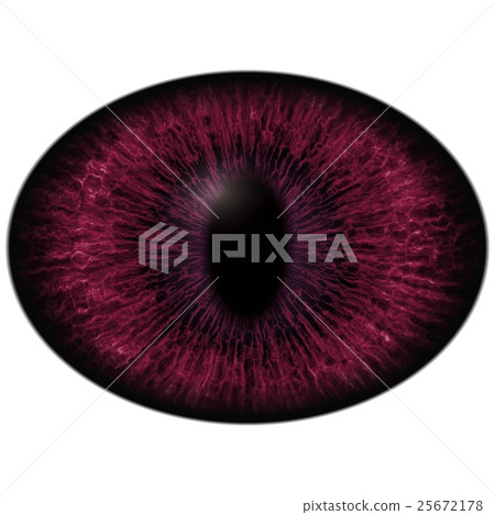 Albino dark eye with large pupil and dark retina 25672178