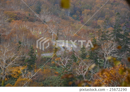 二世谷秋葉旅遊 二世谷秋葉旅遊 25672290