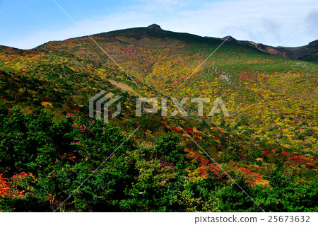 Autumn leaves of Adachi-taoyama seen from the summit of Fukushima Yakushidake Autumn leaves of Adachi-taoyama seen from the summit of Fukushima Yakushidake 25673632