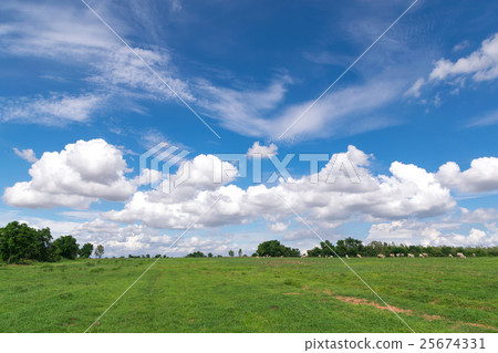 blue sky clouds with green field landscape 25674331