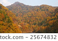 Autumn leaves 25674832