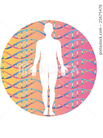 人體輪廓和雙螺旋結構模式 人體輪廓和雙螺旋結構模式 25675476