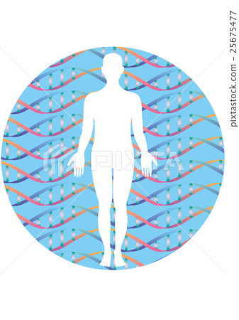 人體輪廓和雙螺旋結構模式 人體輪廓和雙螺旋結構模式 25675477