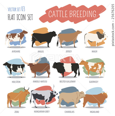 Cattle breeding. Cow, bulls breed icon set 25676205