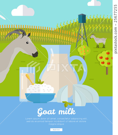 Goat Dairy. Milk Farm Concept Banner Vector Goat Dairy. Milk Farm Concept Banner Vector 25677255