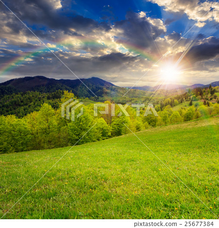 green grass on hillside meadow in mountain green grass on hillside meadow in mountain 25677384
