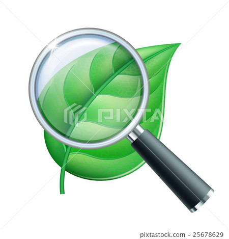 Magnifying glass and leaf 25678629