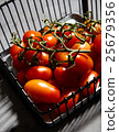 Fresh cherry tomatoes on branch in iron basket 25679356