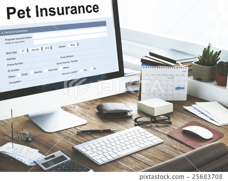Pet Insurance Owner Puppy Safety Policy Animal Concept 25683708