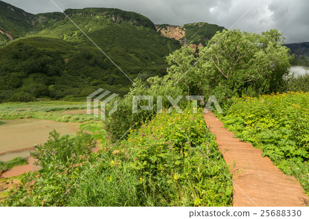 Wood trail in Valley of Geysers. 25688330